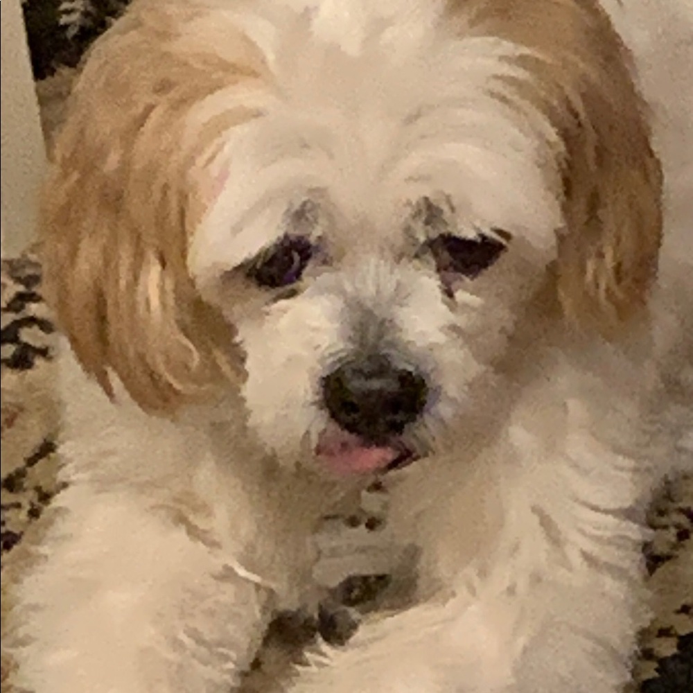 Meet your Posher, Mina